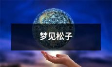 在梦中意外相遇，畅游于松林间，窥见松鼠嬉戏，感受自然的神秘力量——梦见松子的奇妙体验