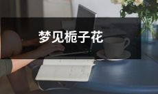 在清晨梦见栀子花的令人陶醉的美丽,这是多少追求清新自然的心灵所向往的情境!
