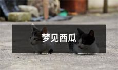 梦见长成又甜又脆的西瓜，染上一片夏日热浪的红晕的生动而清晰的梦境