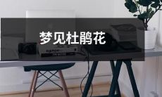 在清晨醒来的时候,我被一片灿烂的杜鹃花海所包围:梦见美丽的杜鹃花绽放在春天的原野上!