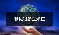 在梦中经历丰收季节：大量的惬意玉米粒涌入我的视野