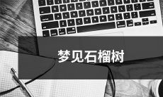 在梦中见到石榴树的意义及解释：探讨潜意识中的石榴树象征与象征意义的深层解读