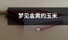 在梦中看到闪耀金黄色的玉米，让我心中充满了愉悦和满足之感