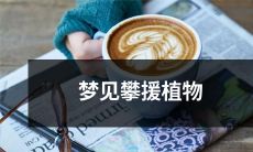 在梦中观察到攀援植物缠绕的景象，感受到它们威武坚强的气息和独特的美丽特征