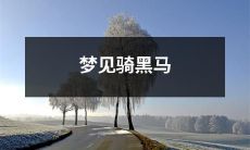 在梦中看到自己骑着神秘的黑马，感受到神秘的氛围和无尽的未知可能性