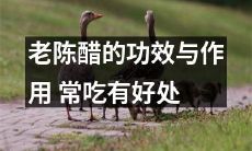 经常食用老陈醋:探究其功效与作用,长期补充可获益匪浅