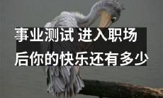 职场人士必须进行的事业测试-探寻职场快乐,了解自己的职业追求能力与幸福指数