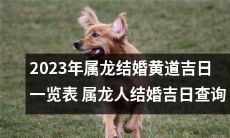 2023年属龙人结婚吉日查询：详细的黄道吉日一览表