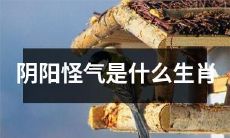 ,如何判断和与之相处?