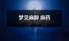 梦中经历麻醉麻药带来的奇幻之旅