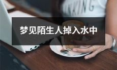 梦境中遇见陌生人突然坠入水中的奇异经历