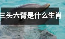 ？据说拥有三头六臂的生肖是哪一个？