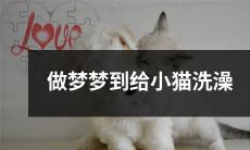 做梦时梦见自己正兴致勃勃地给一只可爱的小猫咪洗澡的情景