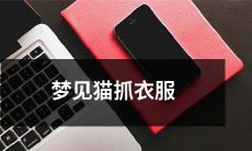 梦中猫咪的爪子无情抓咬我的衣服,这个动物的行为在我梦中究竟代表了什么?