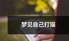 醒来后感受深刻的梦境：我在梦中意外地打了一只猫，并反思自己对待动物的态度和行为方式