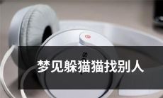 在梦中躲猫猫查找他人：一个充满隐喻和悬念的神秘梦境