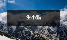 生下小猫咪：经历快乐、疼痛、责任和成长的奇妙旅程