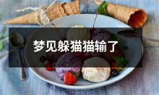 在梦中躲猫猫失败的惊险经历:记录梦境中的失败与困顿