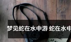梦见蛇在水中游泳缭绕嬉戏，在清澈的水中翻滚，营造出无穷无尽的梦幻氛围！