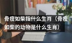 骨瘦如柴的动物指代哪一个生肖？