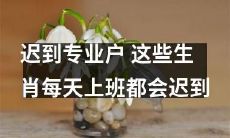 这些专业迟到生肖，每天上班都难以准时赶到