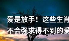 放手去爱:这些生肖知道如何避免强求那些得不到的爱情