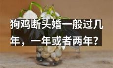 经历狗鸡断头婚的夫妻,需要多少年才能回复原本的幸福生活?