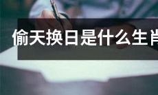 哪些生肖能够运用奇思妙想实现“偷天换日”的惊人表演技能？