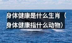 什么动物代表身体健康?探讨生肖与人体健康的关联