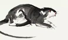 每个十二生肖对应一首精彩纷呈的诗歌作品!