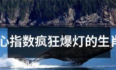 被花心指数极度撑满的十二生肖男，无法避免疯狂爆灯的情感突围！