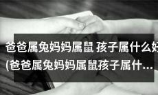 深度探讨父母属兔属鼠,孩子应该选择何种属相的命理学分析(Deep analysis on the choice of zodiac signs for children born to parents of rabbit and rat)