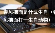 请问，能否告诉我春风拂面是哪个生肖呢？（想知道春风拂面对应的动物生肖是哪个？）