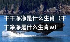 哪些生肖会特别注重清洁卫生？（哪些生肖会特别注重清洁卫生？干干净净是其中之一吗？）