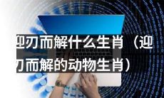 掌握迎刃而解技巧,轻松辨识各种动物生肖