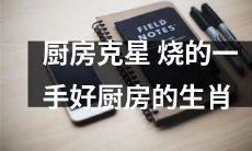 十二生肖中具备出色厨艺的生肖，成为厨房克星，秉承烧的一手好厨房之称