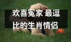 欢喜冤家成最逗比生肖情侣，他们的爱情故事令人忍俊不禁