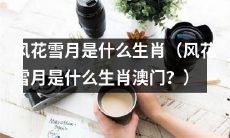 风花雪月这个词语所对应的生肖是什么？（在澳门地区，风花雪月代表哪个生肖？）