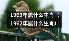 根据中国农历，1963年对应的属相是什么？（同理，1962年对应的属相是什么？）