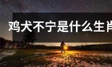 哪些属相的鸡犬不宁，引起人们的警觉和关注？