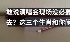 不要错过现场演唱会的精彩表演！这三个生肖与你一起欢呼雀跃！