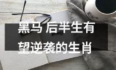 十二生肖:哪些动物的后半生有望成为黑马逆袭成功?
