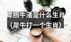 犀照牛渚：请问这位生肖是不是犀牛？