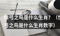 惊弓之鸟代表哪个生肖，是什么数字？
