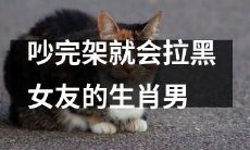 生肖男因吵架即将拉黑女友的典型行为分析