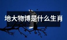 哪些生肖适合考取地大物博？