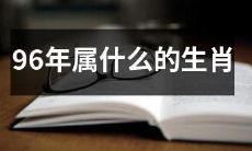 属于哪个生肖的人出生于1996年？