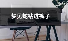 睡梦中见到一只蛇钻入裤腿，令人毛骨悚然的灵魂深处之阴森幽暗的恐惧体验