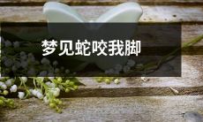 在睡梦中，我体验了一场恐怖的事件，梦中蛇咬我的脚，引发了我内心深处的恐惧和不安！