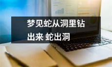 做梦见蛇从洞里钻出来,缓缓游行着,似乎在寻找着什么目标,最终巧妙地决定离开洞穴,展现出了它的极具吸引力的身体和活力 - 一场神奇的梦境!